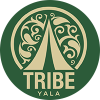 Tribe Yala Logo