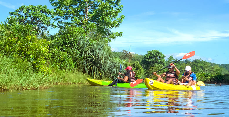 Eco Grip Adventures gallery image