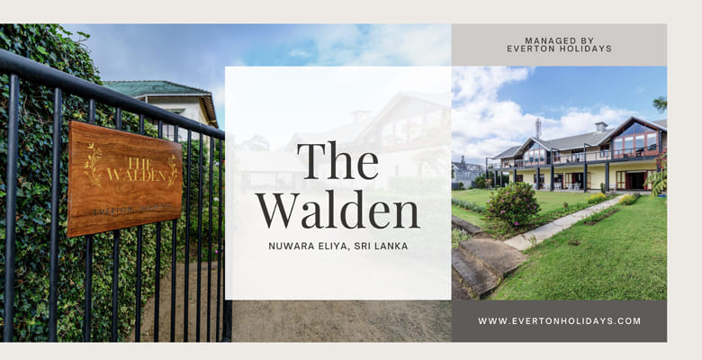 The Walden - Everton Holidays gallery image