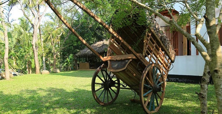 Ceylon Food Trails gallery image
