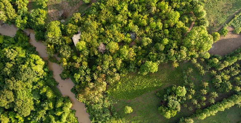 The River House Dambulla gallery image