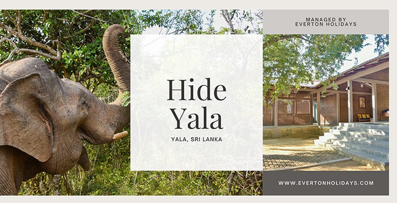 Hide Yala - Everton Holidays gallery image